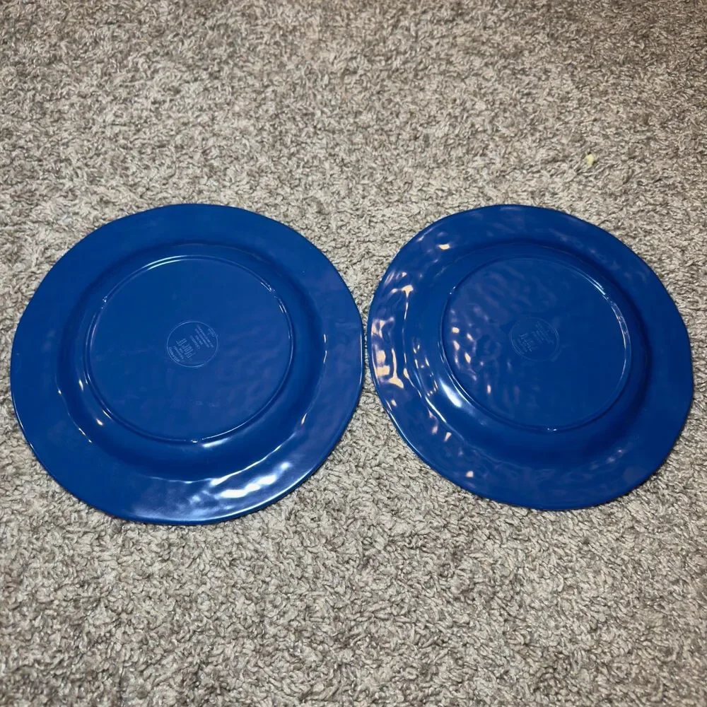 Pier 1 Carmelo Melamine Blue Crackle Rustic Plates Bowls Snack Dish LOT of 9